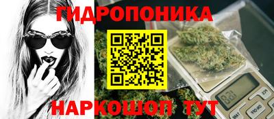 PSILOCYBIN Тверь