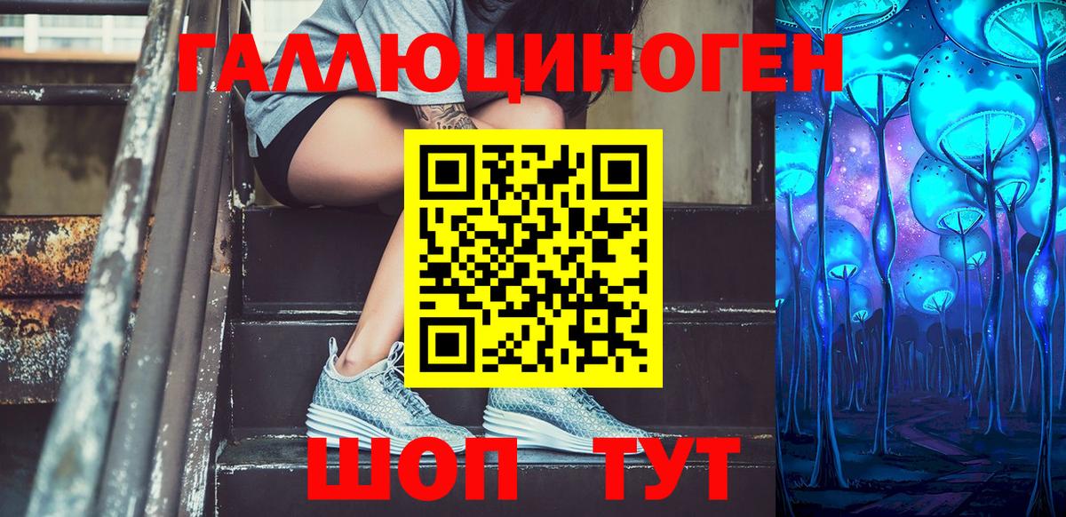 Псилоцибиновые грибы Psilocybe Ухта